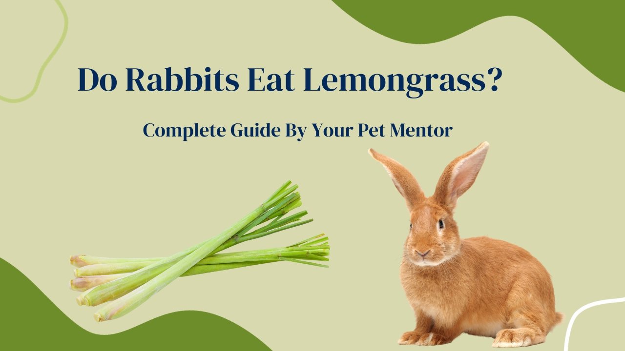 Do Rabbits Eat Lemongrass